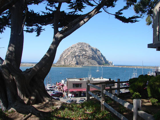 View on King City