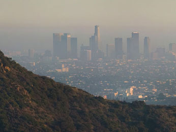 Phonebook of Los Angeles.com