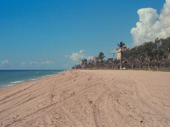 Beach in Fort Lauderdale