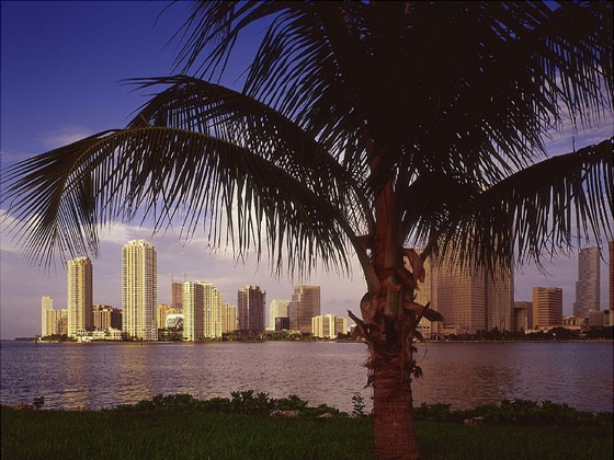 Brickel Avenue Miami, Florida