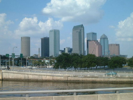 Tampa Skyline