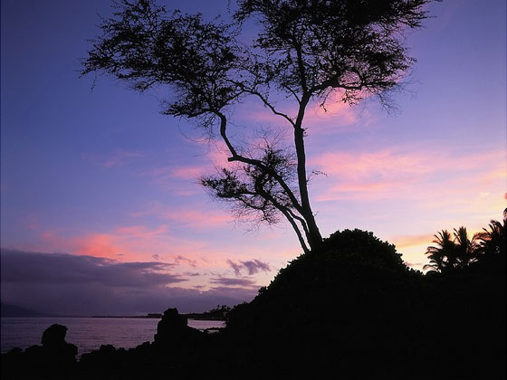 near the Fourseasons Resort