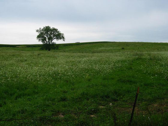 Charles Mound