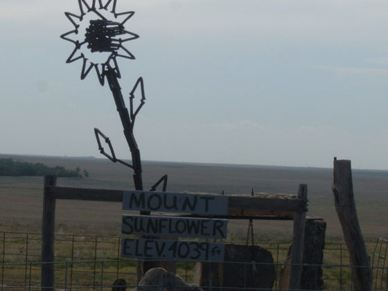 Mount Sunflower