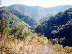 Black Mountain, highest mountain of Kentucky