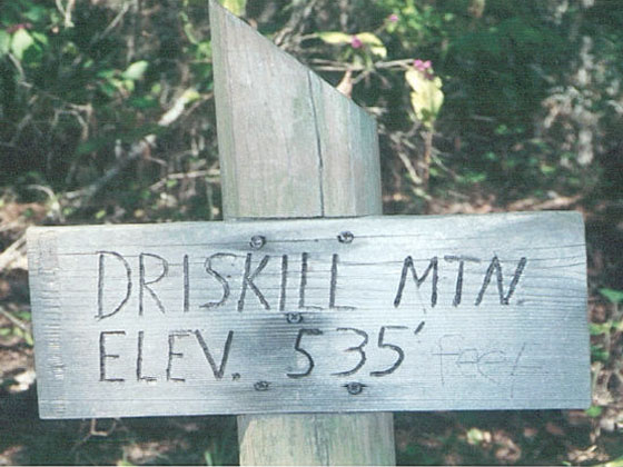 Driskill Mountain