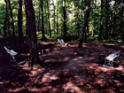 Mount Arvon
