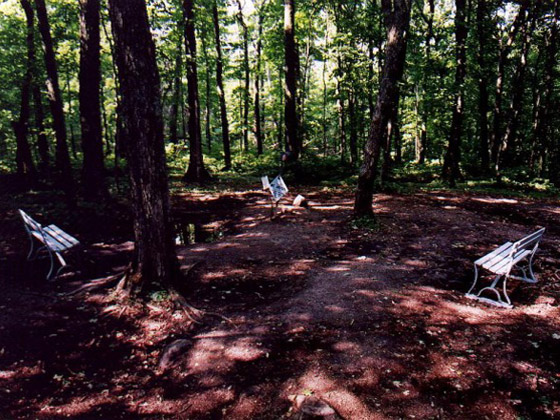 Peak of Mount Arvon