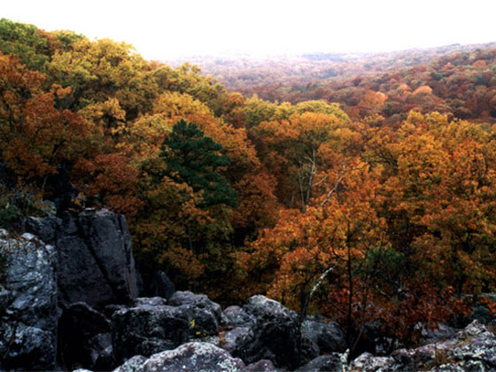 view from Taum Sauk Mountain