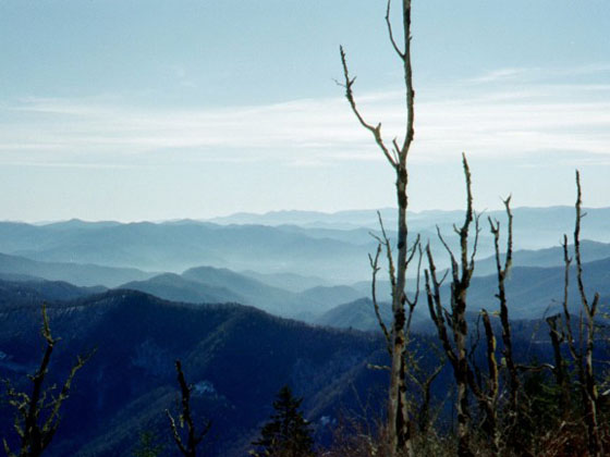 Clingmans Dome