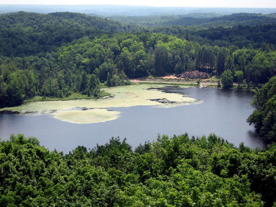 Timms Hill
