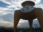Pictures of Barquisimeto