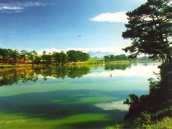 Dalat Vietnam