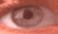 Big Eye.com