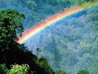 Buy Victoria Falls